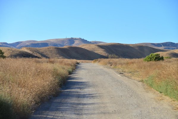 DSC 8893
