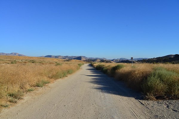 DSC 8895