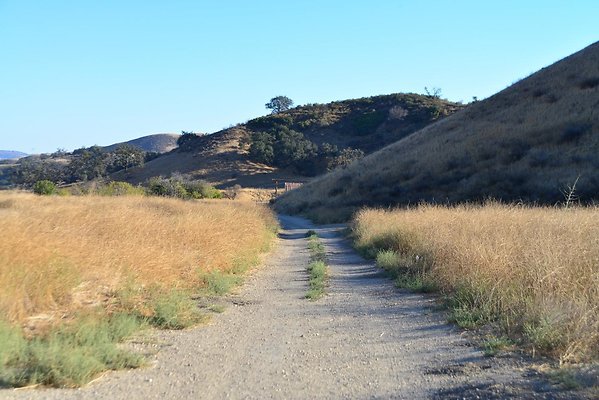 DSC 8901