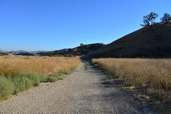DSC 8900