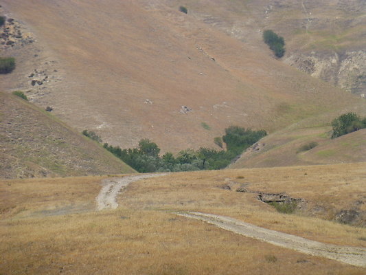 P1190783