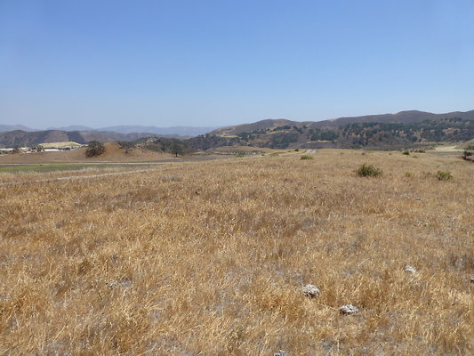 P1190780