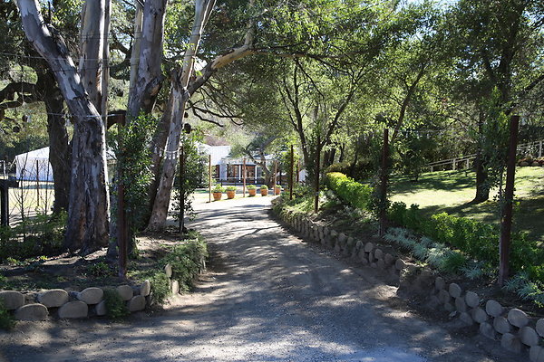 Calamigos.Ranch.Malibu.172