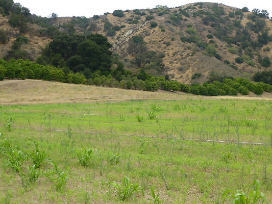 Block 29