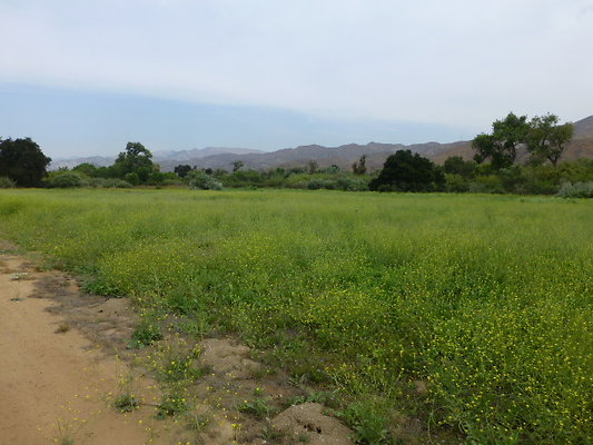 P1120637
