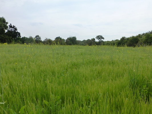 P1120648
