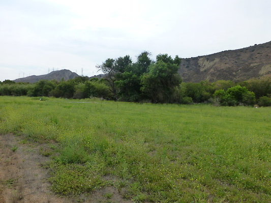 P1120631