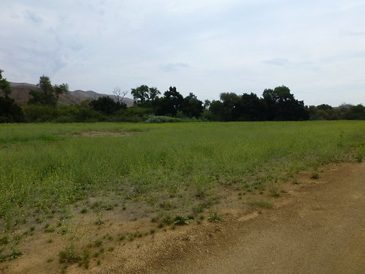 P1120652