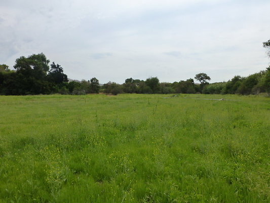 P1120651