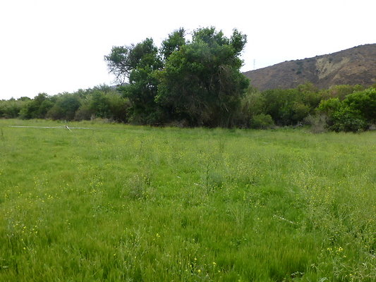 P1120643