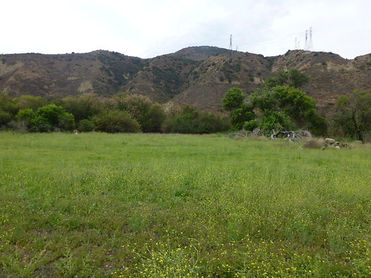 Turkey Ranch