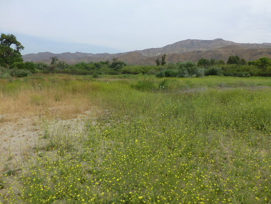 P1120662