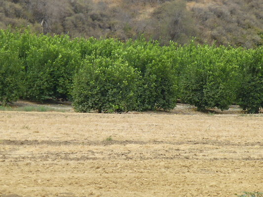 P1120682