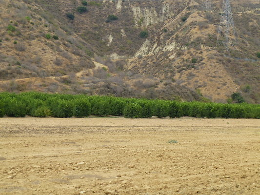 P1120681