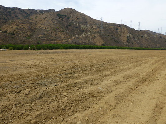 P1120680