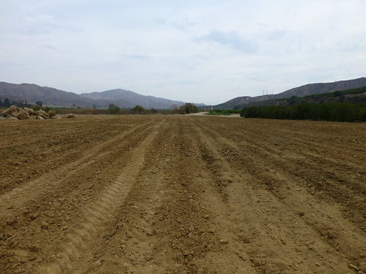 P1120678