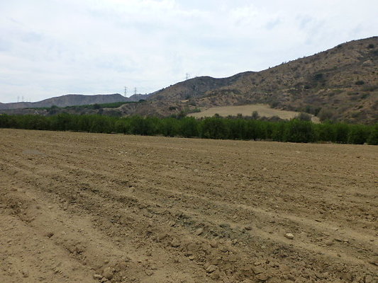 P1120679