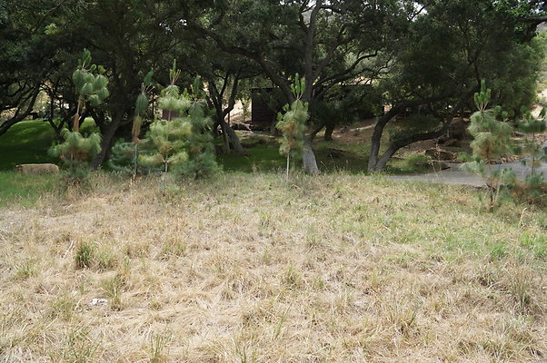 Canyon.Ranch.Green.Meadow.14