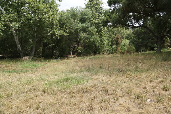 Canyon.Ranch.Green.Meadow.09