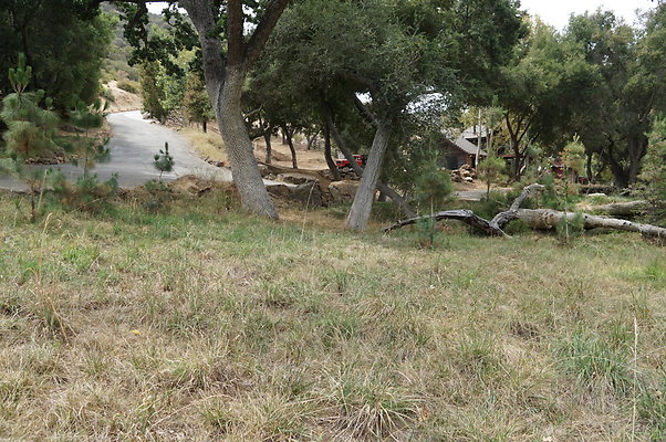 Canyon.Ranch.Green.Meadow.15