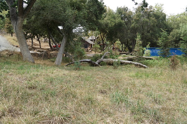 Canyon.Ranch.Green.Meadow.16