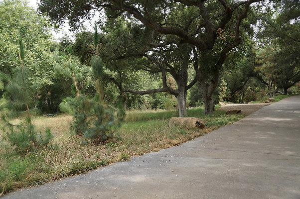 Canyon.Ranch.Green.Meadow.21