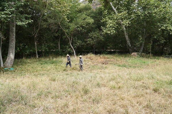 Canyon.Ranch.Green.Meadow.08