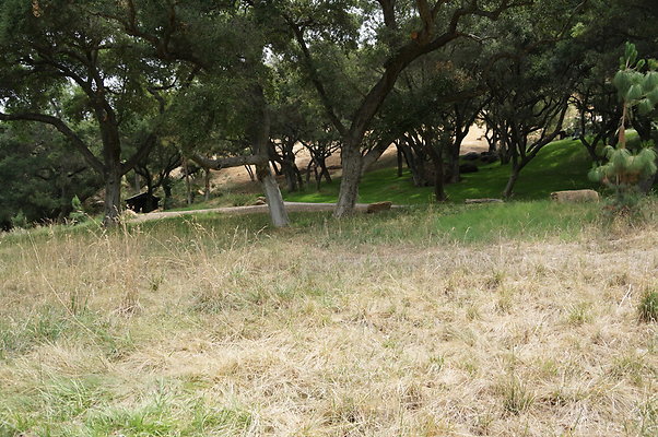 Canyon.Ranch.Green.Meadow.13