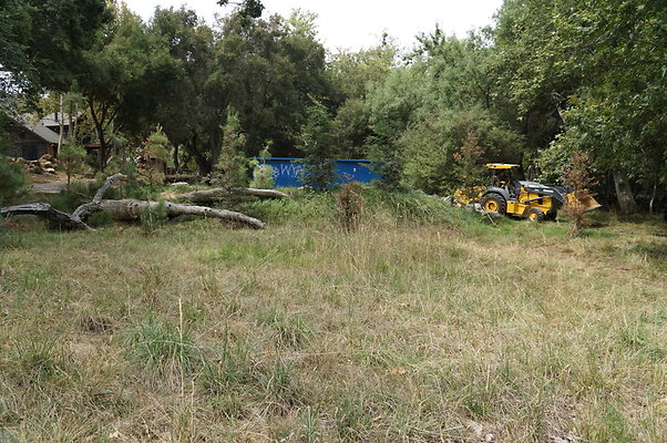 Canyon.Ranch.Green.Meadow.17