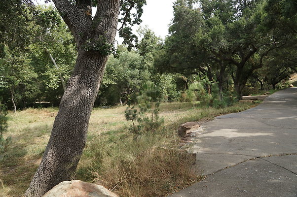 Canyon.Ranch.Green.Meadow.24