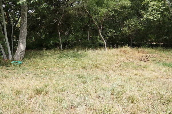 Canyon.Ranch.Green.Meadow.10