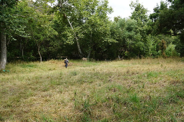 Canyon.Ranch.Green.Meadow.05