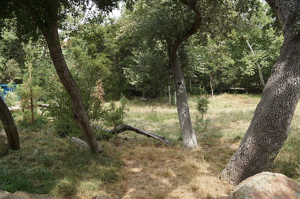 Canyon.Ranch.Green.Meadow.23