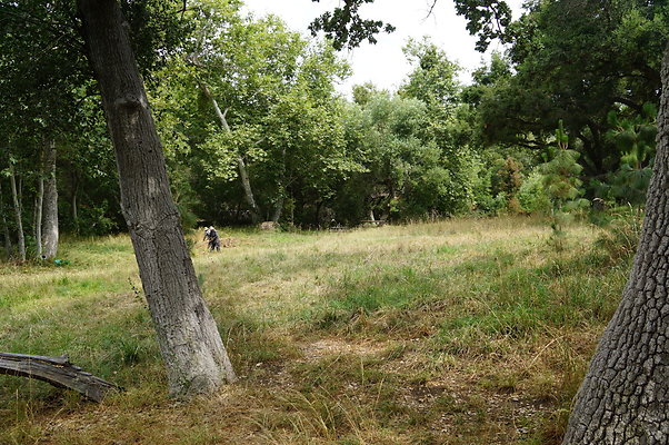 Canyon.Ranch.Green.Meadow.02