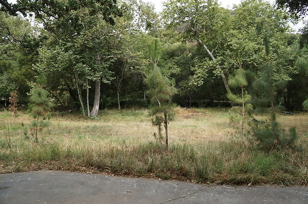 Canyon.Ranch.Green.Meadow.20