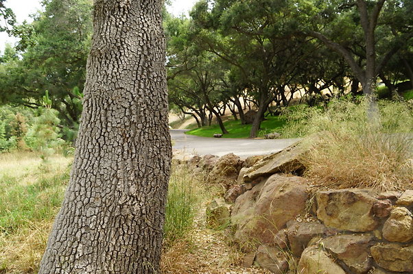 Canyon.Ranch.Green.Meadow.03