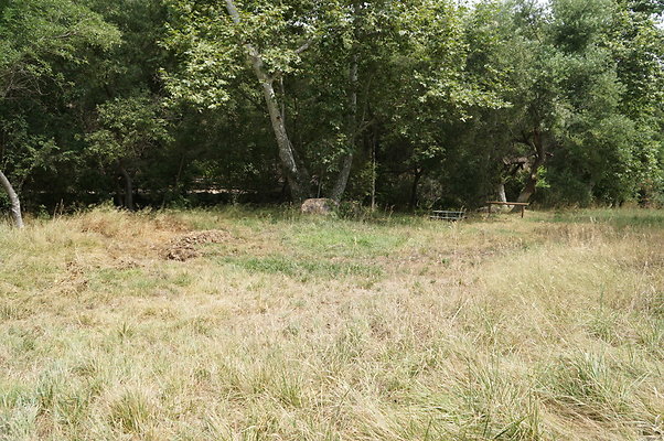 Canyon.Ranch.Green.Meadow.11