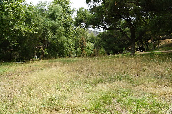 Canyon.Ranch.Green.Meadow.12