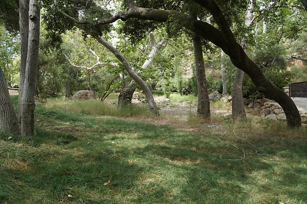 Canyon.ranch.Green.07