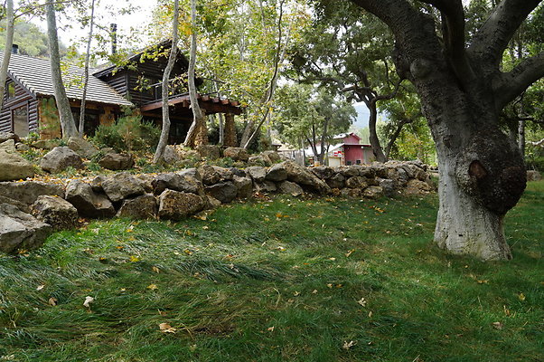 Canyon Ranch Green Area 1