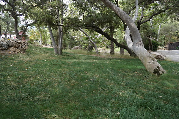 Canyon.ranch.Green.05