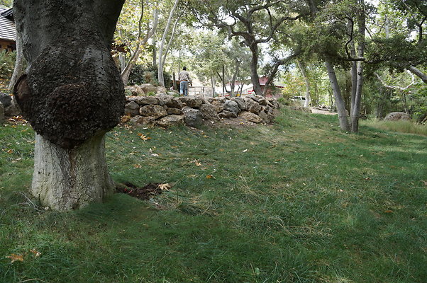 Canyon.ranch.Green.04