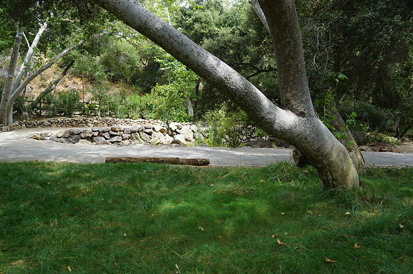 Canyon.ranch.Green.09