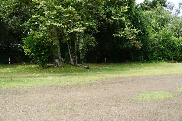 Calimigos.The.Grove.03