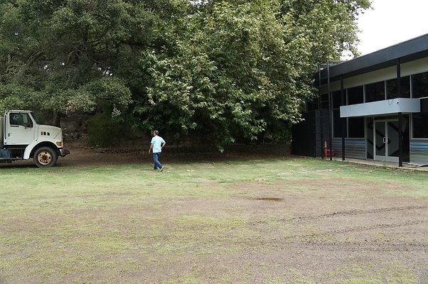 Calimigos.The.Grove.07