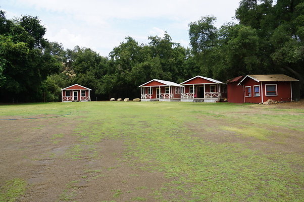 Calimigos.The.Grove.05