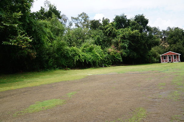 Calimigos.The.Grove.04