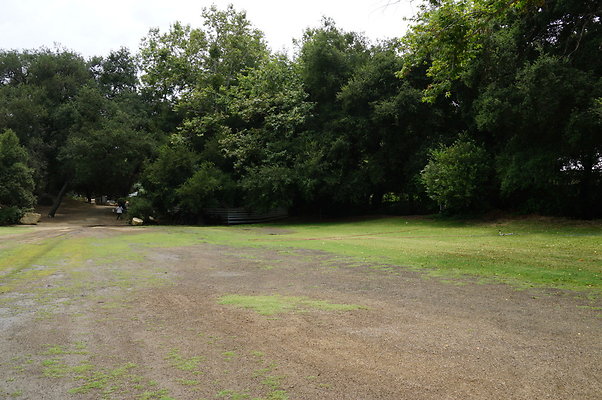 Calimigos Ranch.Grove