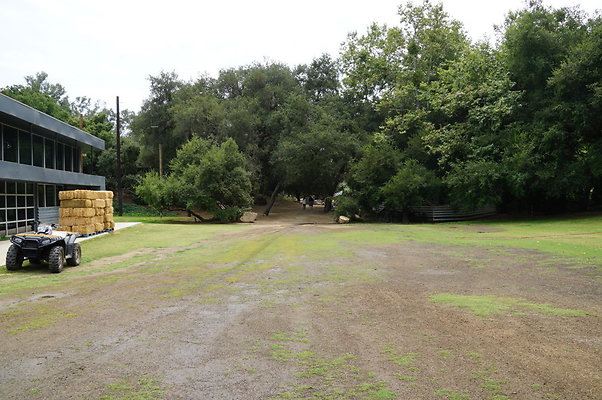 Calimigos.The.Grove.09