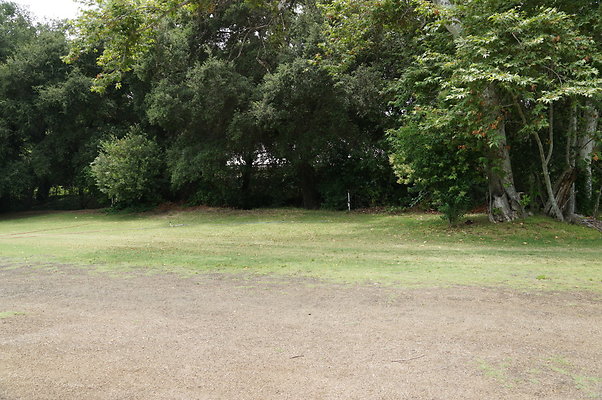 Calimigos.The.Grove.02